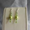 Glass pearl and Czech glass seed bead earrings (33mm drop)

Pearl size 8mm

Silver plated
